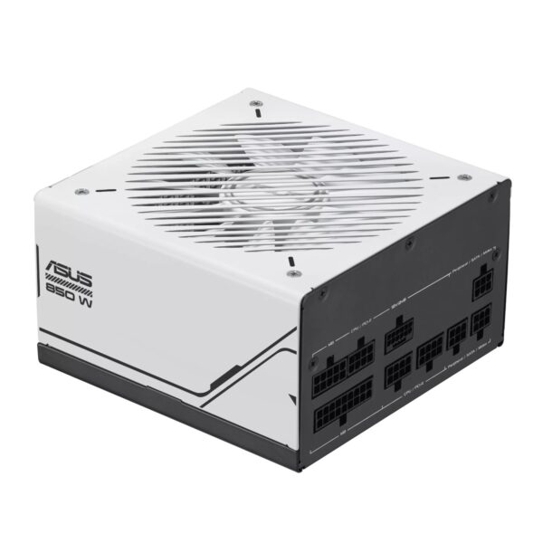 Asus Prime 850W 80 PLUS Gold Power Supply